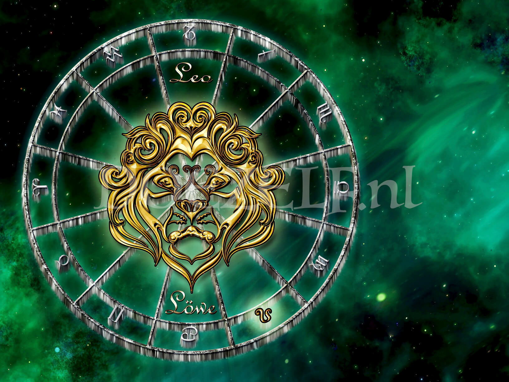 Leeuw Sterrenbeeld - Diamond Painting - DoeZelf.nl