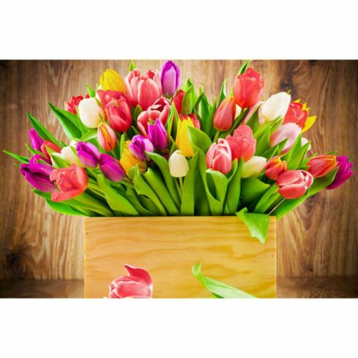 Bak met tulpen Diamond Painting