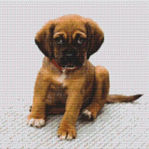 Eigen foto diamond painting klein hondje