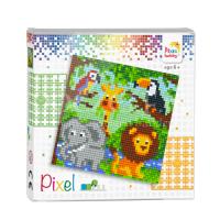 Pixel set
