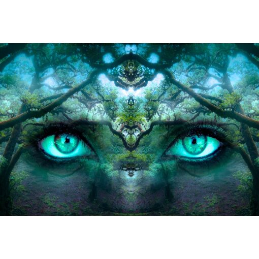 Mystery forest eyes Diamond Painting