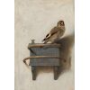 Het Puttertje van Carel Fabritius Diamond Painting