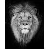 Leeuw zwart / wit Diamond Painting