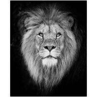 Leeuw zwart / wit Diamond Painting