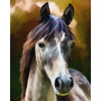 Paard Diamond Painting