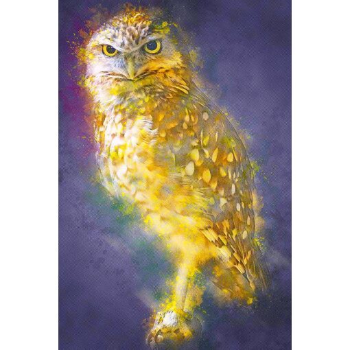 Gouden uil Diamond Painting **