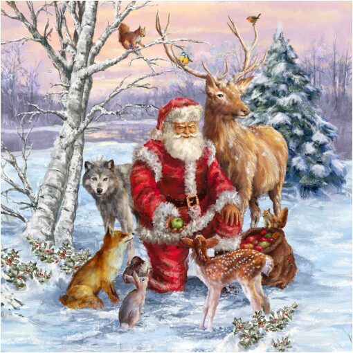 Aardige kerstman en vele dieren Diamond Painting