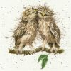 Birds Of A Feather borduren (pakket)