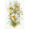 Chudo Igla White Daisies borduren (pakket)