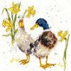 Hannah Dale Ducks And Daffs borduren (pakket)