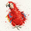 Hannah Dale Parrot On Parade borduren (pakket)