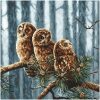 Leti Stitch Owls Family borduren (pakket)