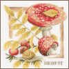 Marjolein Bastin Herfst borduren (pakket)