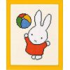 Nijntje met bal, Dick Bruna borduren (pakket)