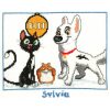 Disney Bolt, Mr. Mittens & Rhino borduren (pakket)