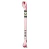 DMC Mouline Satin Nr. S818 Borduurgaren