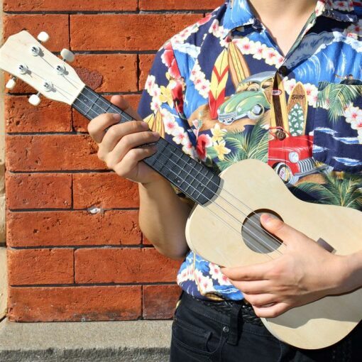 Kikkerland Bouw je eigen Ukelele bouwpakket