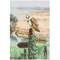 Leti Stitch Barn Owl borduren (pakket) L8031