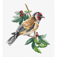 Luca-S Goldfinch Bird borduren (pakket) B1197