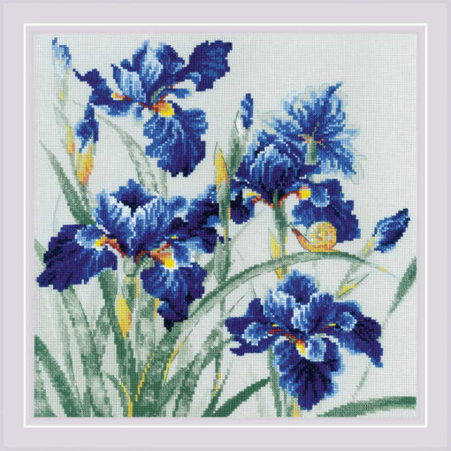 RIOLIS Blue Irises borduren (pakket) 2102