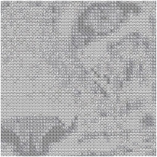 Luipaard zwart wit Premium DP Diamond Painting - Afbeelding 3