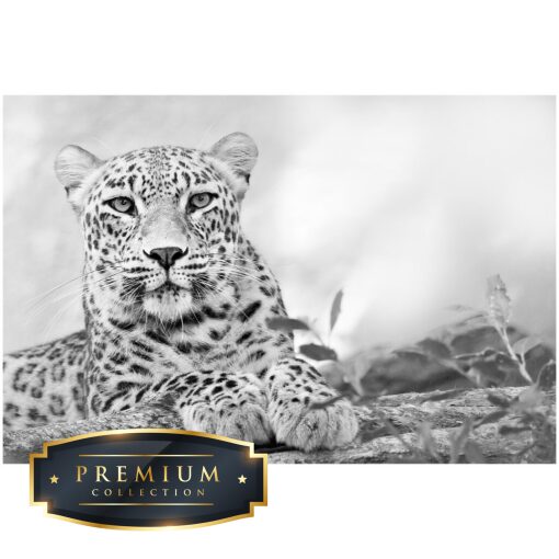 Luipaard zwart wit Premium DP Diamond Painting