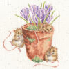 Bothy Threads Hannah Dale Garden Friends borduren (pakket)