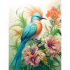 Vogel met oranje en blauwe veren diamond painting