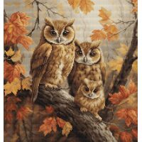 Luca-S The Owls Family borduren (pakket) BU5045