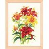 RIOLIS Tiger Lilies borduren (pakket) 1782 **