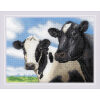RIOLIS Cows borduren (pakket) 2237