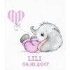 Luca-S Baby Girl Geboortebord borduren (pakket) B1133