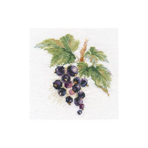 Alisa Black Currant borduren (pakket) 0-141