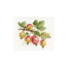 Alisa Gooseberry borduren (pakket) 0-142