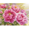 Alisa Peonies borduren (pakket) 2-35