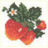 Alisa Strawberry borduren (pakket) 0-21