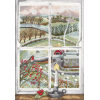 Bothy Threads Lizzie Spikes Rosehip Window borduren (pakket) XDD7