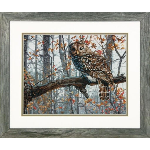 Dimensions Wise Owl 70-35311