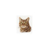 Alisa European Cat / Cat's eyes borduren (pakket) 0-135