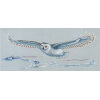Andriana Polar Owl borduren (pakket) SANP-47