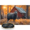 Schaap in het ochtendlicht Premium DP Diamond Painting