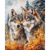Luca-S The Guardians of the Forest borduren (pakket) BM3022
