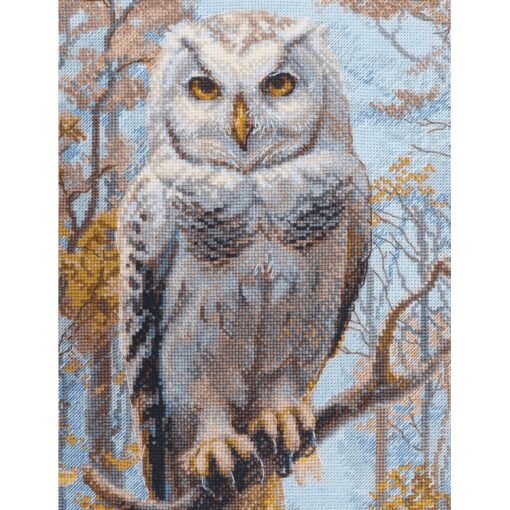 Aine Wildwood Owl A1016 borduren (pakket)