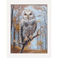 Aine Wildwood Owl A1016 borduren (pakket)