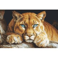 Luca-S The Wild Spirit GOLD BU5081 borduren (pakket)