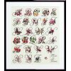 Pako Flora & Fauna ABC borduren (pakket) 219.244