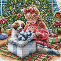 AVA Stitch A Special present P087 borduren (pakket)