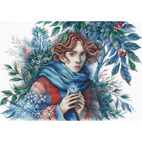AVA Stitch The Face of Winter P063 borduren (pakket)