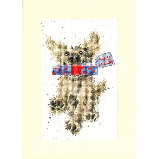 Bothy Threads Hannah Dale Special Delivery XGC31-TP Wenskaart borduren