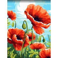 Bright Poppies Schilderen op nummer KT710